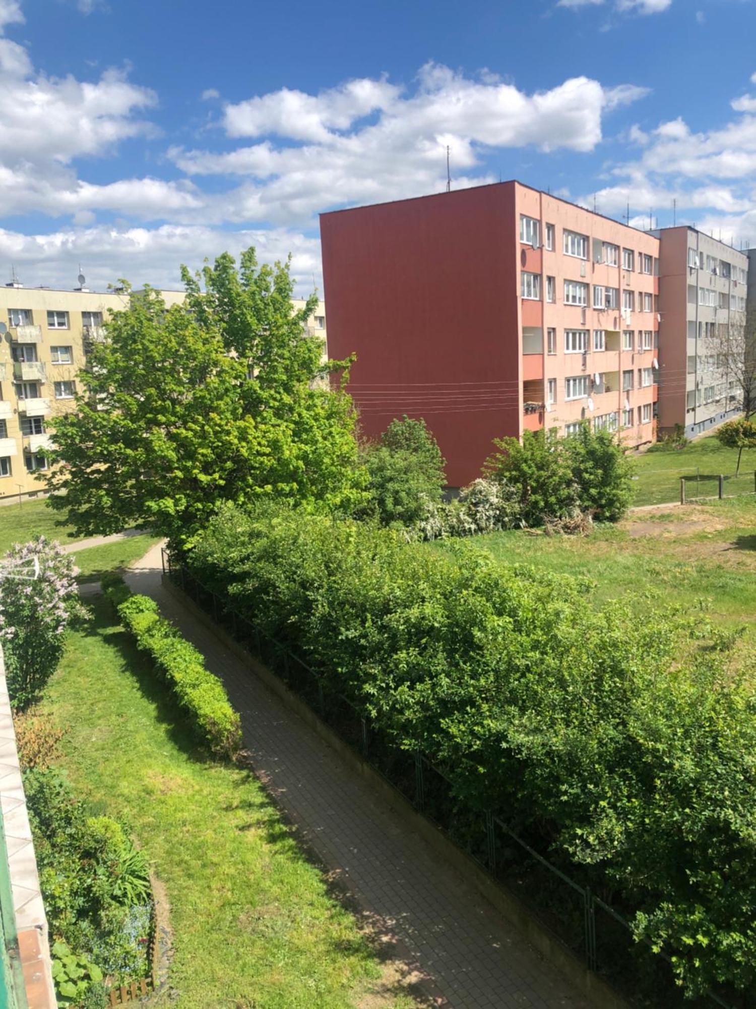 Noclegi Na Sudeckim Świebodzice Εξωτερικό φωτογραφία